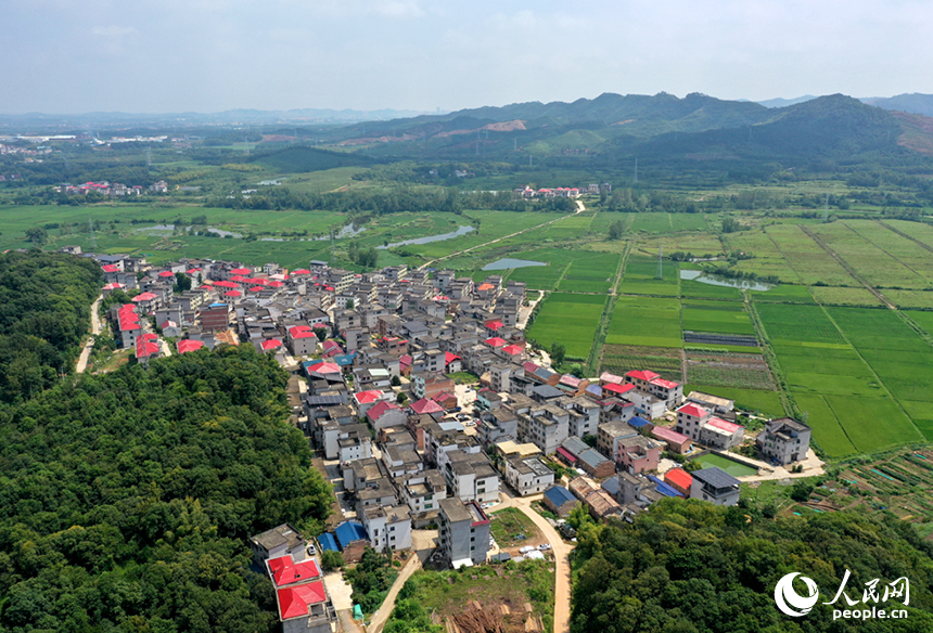 航拍鏡頭下，初秋時節的上高縣蘆洲鄉上新村宛如一幅精心繪制的田園畫卷。 人民網記者 時雨攝