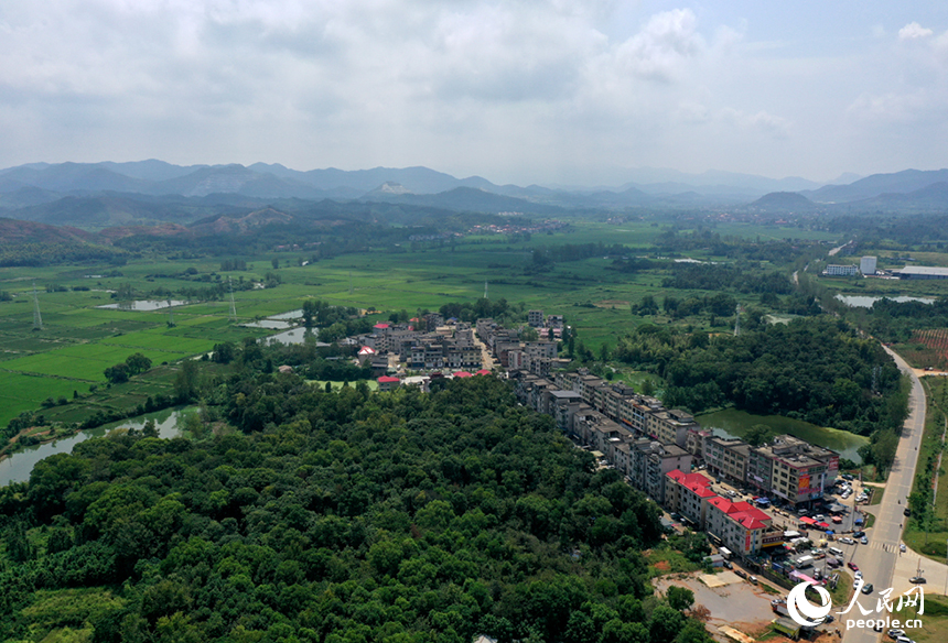 航拍鏡頭下，初秋時節的上高縣蘆洲鄉上新村宛如一幅精心繪制的田園畫卷。 人民網記者 時雨攝