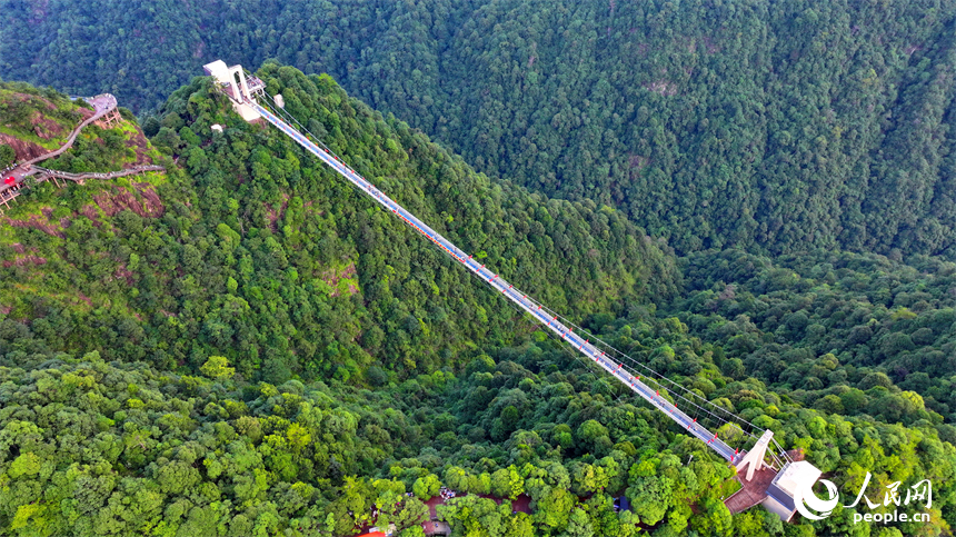 許多游客在安遠縣三百山景區玻璃棧道游玩。人民網 朱海鵬攝