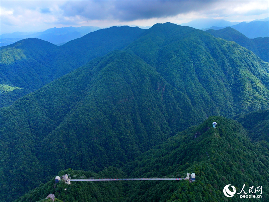 許多游客在安遠縣三百山景區玻璃棧道游玩。人民網 朱海鵬攝
