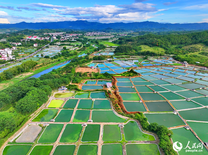 撫州市南豐縣桑田鎮司前村一帶的水產養殖塘星羅棋布，猶如大地調色板。人民網 朱海鵬攝