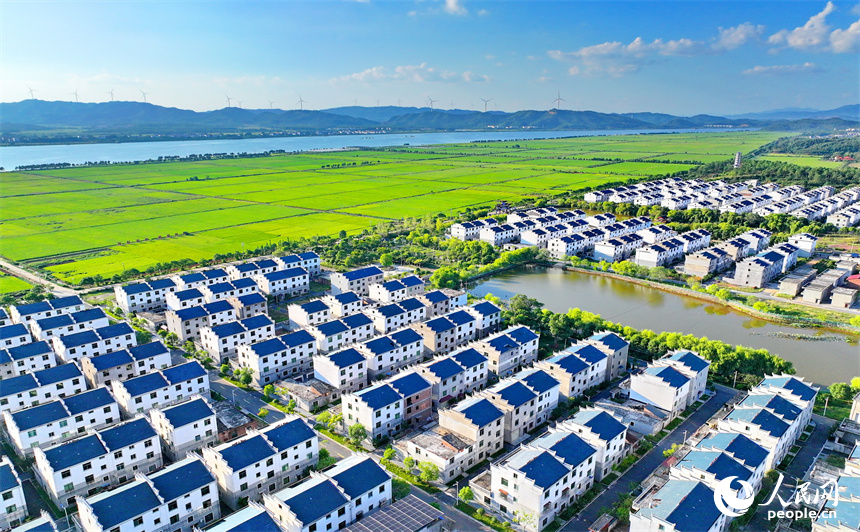 吉安市吉水县水田乡孔巷村，整齐的民房与连片的农田相得益彰，相映成景。人民网 朱海鹏摄