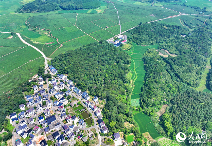 德兴市香屯街道柏垣村，鳞次栉比的房屋与蜿蜒的乐安江相映成景，构成一幅河畅、水清、岸绿的和美乡村画卷。人民网 朱海鹏摄
