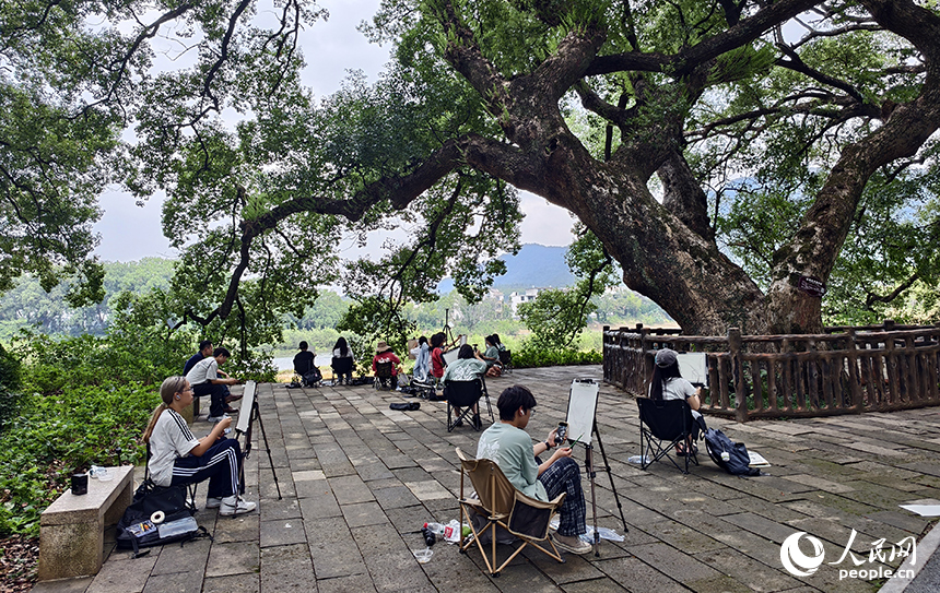 艺术院校的学生们慕名来到水南古樟林，用画笔描绘古树的虬枝与光影。人民网记者 时雨摄