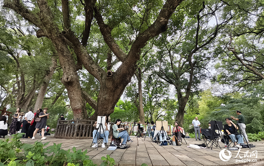 藝術院校的學生們慕名來到水南古樟林，用畫筆描繪古樹的虯枝與光影。人民網記者 時雨攝