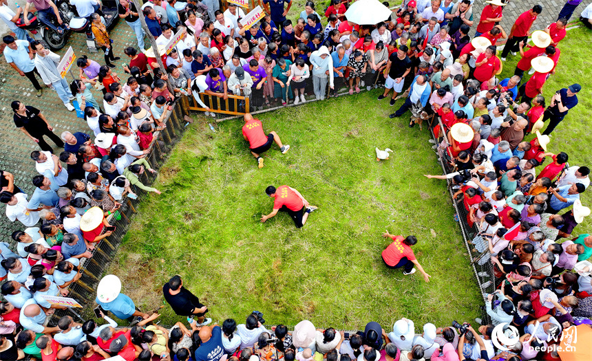 赣州市上犹县营前镇下湾村，村民在参加趣味运动会，乐享丰收的喜悦。人民网 朱海鹏摄