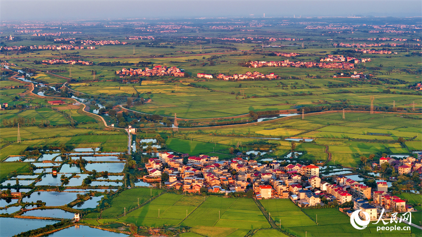 樟樹市大橋街道漁塘村，田園水系環繞，農房錯落有致，秋日鄉村美景怡人。人民網 朱海鵬攝