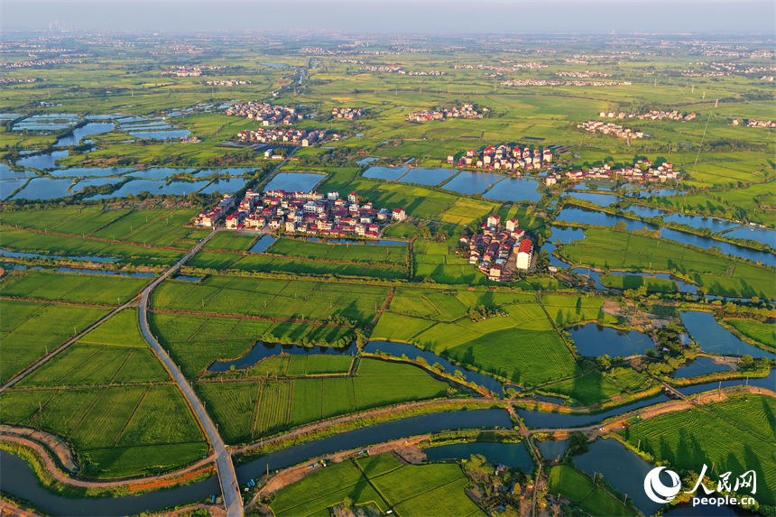 樟樹市大橋街道漁塘村，田園水系環繞，農房錯落有致，秋日鄉村美景怡人。人民網 朱海鵬攝