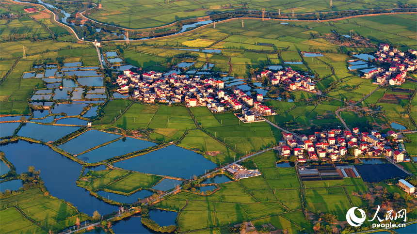 樟樹市大橋街道漁塘村，田園水系環繞，農房錯落有致，秋日鄉村美景怡人。人民網 朱海鵬攝