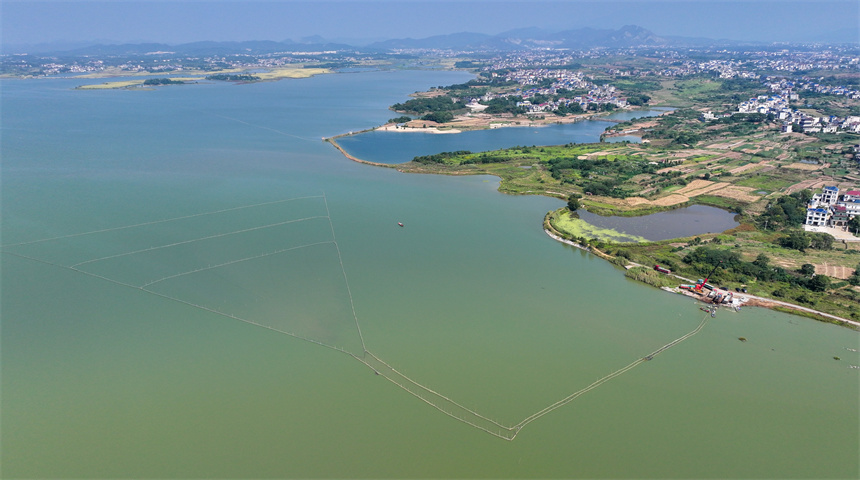 漁民們趁著晴好天氣開啟秋捕作業。潘成攝