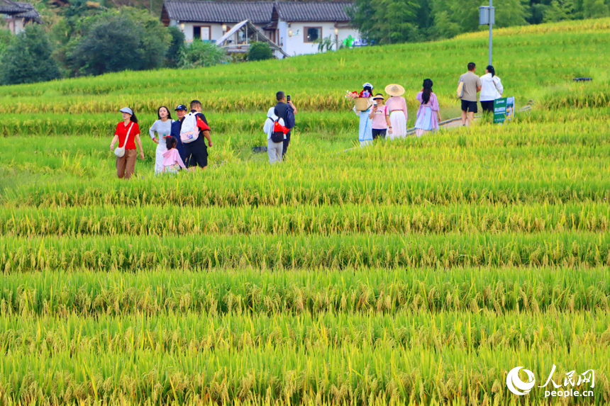 崇义县上堡乡水南村，层叠蜿蜒的梯田吸引不少游客前来游览。人民网 朱海鹏摄