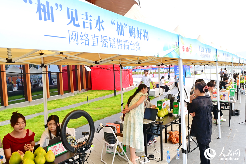 活动现场，参加网络直播销售擂台赛的主播们通过直播助力井冈蜜柚销售。人民网 朱海鹏摄
