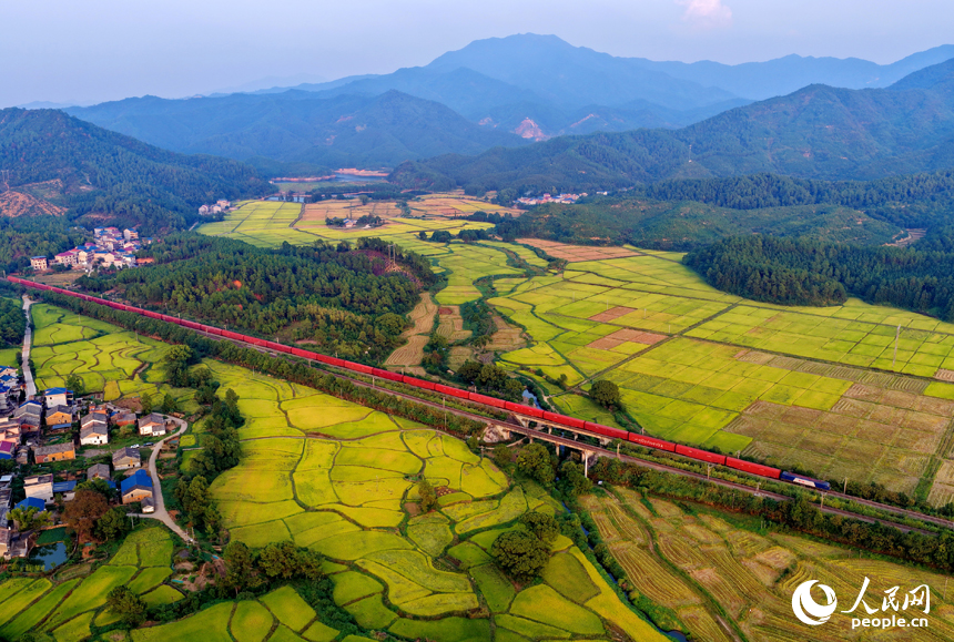 金色稻田、错落村舍、连绵群山相映成趣，构成一幅秋收时节独特的“丰”景画卷。人民网 朱海鹏摄