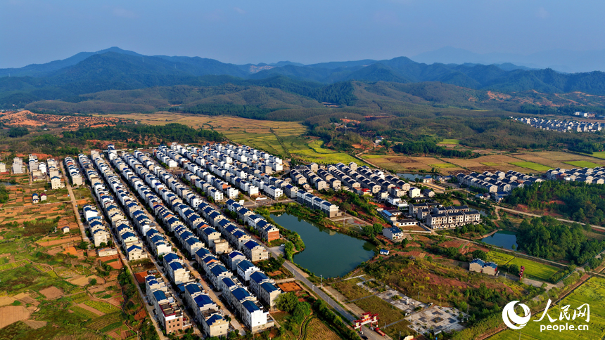 吉安市吉水縣水田鄉郭家村，村居民房與田園秋韻相映映襯，景美如畫。人民網 朱海鵬攝