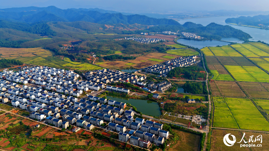 吉安市吉水縣水田鄉郭家村，村居民房與田園秋韻相映映襯，景美如畫。人民網 朱海鵬攝