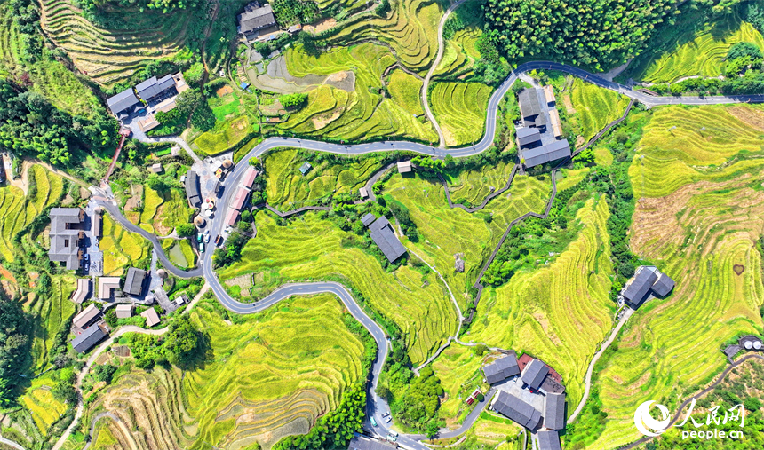 贛州市崇義縣上堡鄉，通村柏油公路串聯起層層疊疊的梯田，吸引了不少游客驅車前來游玩。人民網 朱海鵬攝