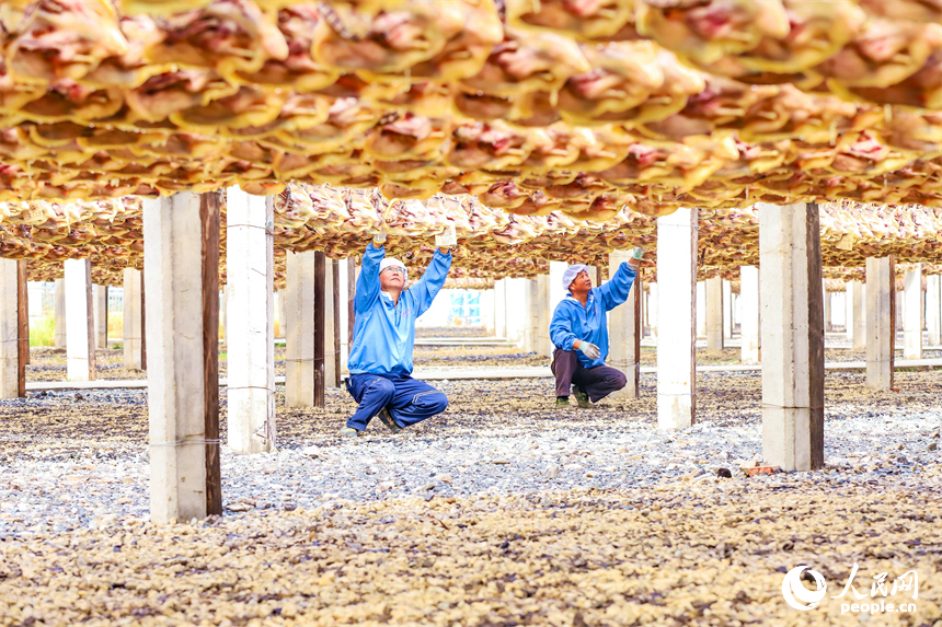 赣州市大余县南安镇的一处南安板鸭生产基地，工人正在晾晒板鸭。人民网 朱海鹏摄