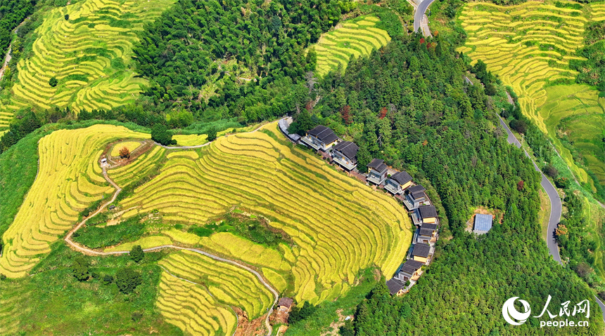赣州市崇义县上堡乡，层层叠叠的梯田沿山体绵亘蜿蜒，与错落分布的农家房屋、旅游民宿相映成画。人民网 朱海鹏摄
