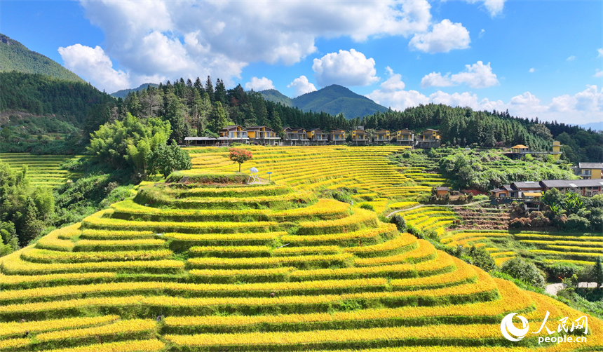 赣州市崇义县上堡乡，层层叠叠的梯田沿山体绵亘蜿蜒，与错落分布的农家房屋、旅游民宿相映成画。人民网 朱海鹏摄