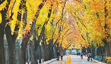 斑斓多彩 如诗如画