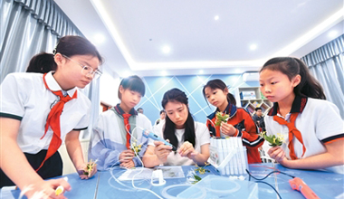 老药新煎 薪火相传