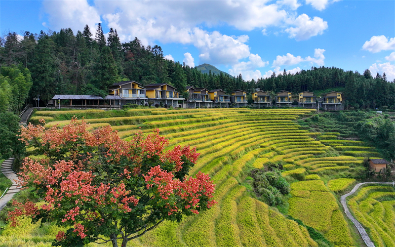 江西崇义：梯田美 旅游旺