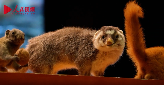 武夷山科普宣讲进校园