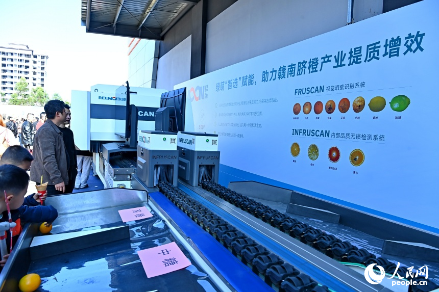 第四屆贛南臍橙國際博覽會智慧農業展區，農用無人機、機械臂、選果設備等新型農機和智能農用設備吸引眾多果農和參展者前來咨詢選購。人民網記者 朱海鵬攝