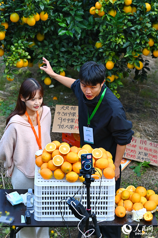 赣州市安远县新龙乡小孔田村，电商主播通过线上直播销售赣南脐橙。人民网记者 朱海鹏摄