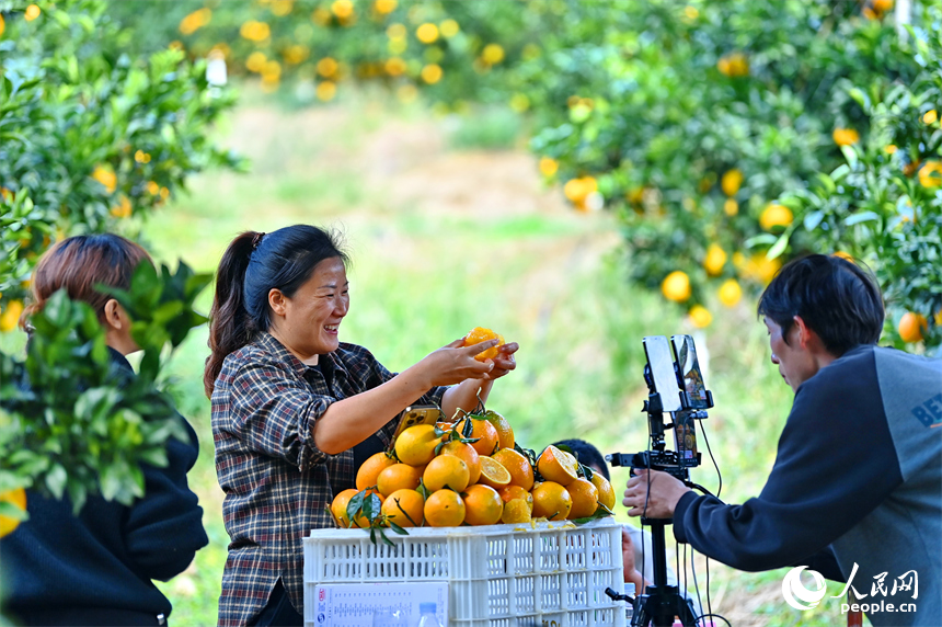 赣州市安远县新龙乡小孔田村，电商主播通过线上直播销售赣南脐橙。人民网记者 朱海鹏摄