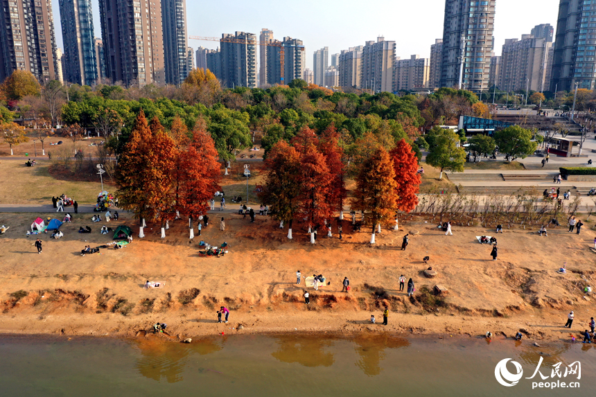 赣江畔，民众享受冬日暖阳。人民网记者 时雨摄