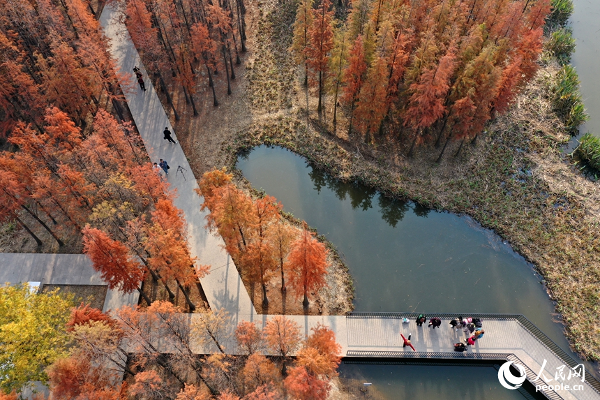 市民们在鱼尾洲湿地公园内的亲水步道上拍照打卡，享受冬日里的惬意。人民网记者 时雨摄