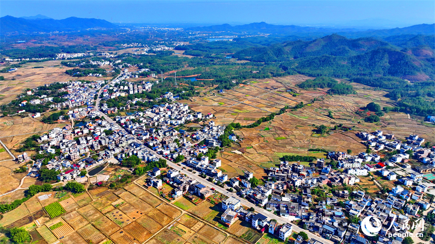 贛州市信豐縣正平鎮聯合村，車輛往來穿行，通村公路連通村庄、田園和蔬菜種植基地，勾勒出多彩斑斕的冬日鄉村圖景。人民網記者 朱海鵬攝