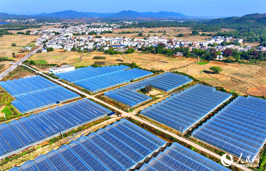 贛州市信豐縣正平鎮聯合村，車輛往來穿行，通村公路連通村庄、田園和蔬菜種植基地，勾勒出多彩斑斕的冬日鄉村圖景。人民網記者 朱海鵬攝