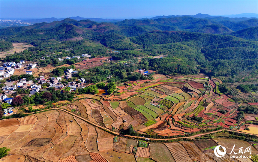 赣州市信丰县正平镇联合村，车辆往来穿行，通村公路连通村庄、田园和蔬菜种植基地，勾勒出多彩斑斓的冬日乡村图景。人民网记者 朱海鹏摄