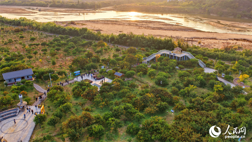 抚州市南丰县琴城镇的一处蜜桔种植基地，游客在采摘南丰蜜桔。人民网记者 朱海鹏摄