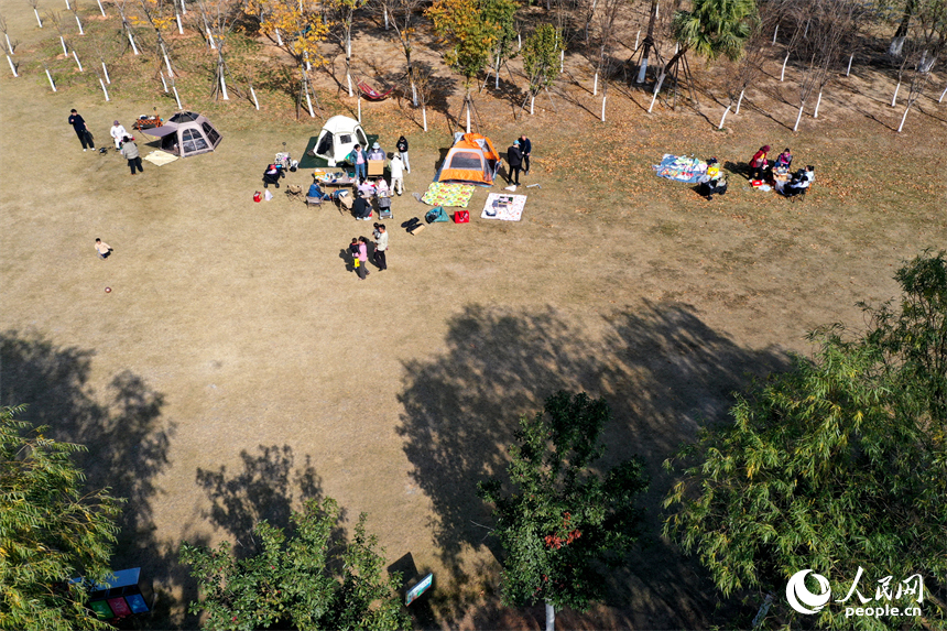 南昌红谷滩区赣江市民公园内，市民享受冬日户外的惬意时光。人民网记者 时雨摄