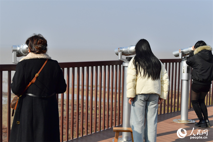 在觀鳥點，游客通過望遠鏡觀看湖中的候鳥。人民網記者 時雨攝