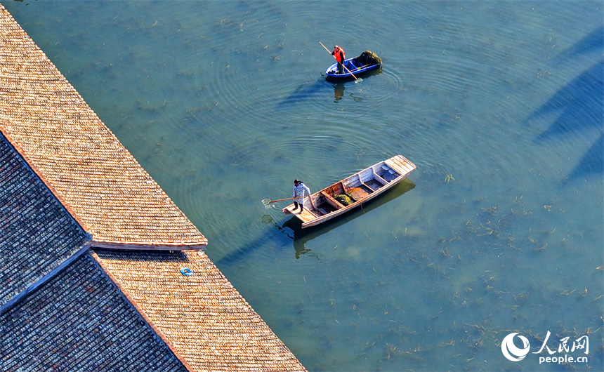 撫州市樂安縣流坑鎮流坑古村，河道保潔員在打撈清理水面水草和雜物。人民網記者 朱海鵬攝