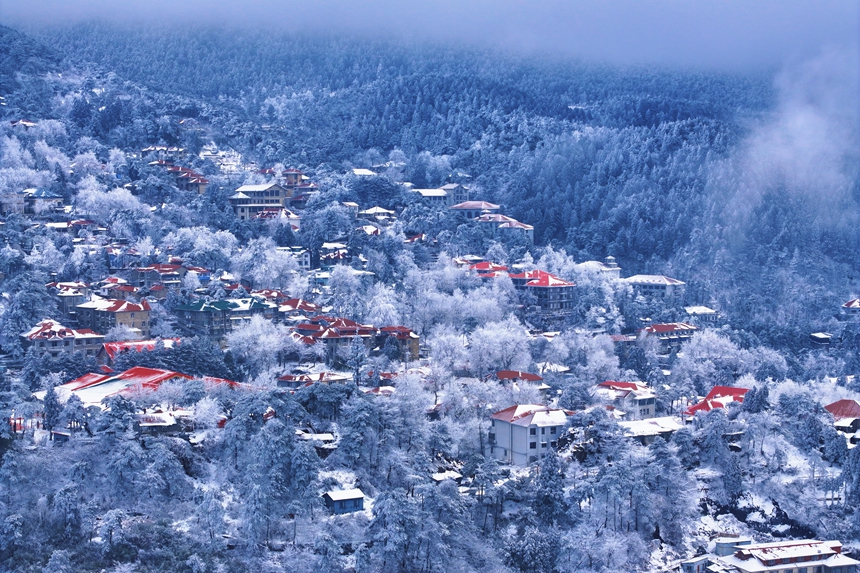 庐山迎来2026年第一场雪，银装素裹犹如童话世界。胡晓山摄