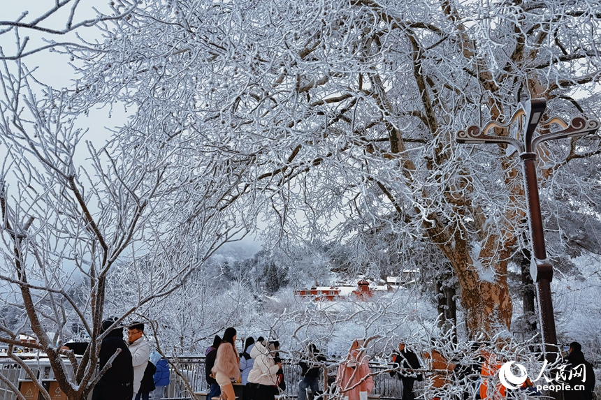 雪后庐山银装素裹，宛若童话世界。人民网记者 邱烨摄