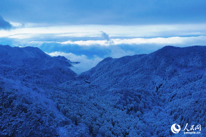 雪后庐山银装素裹，宛若童话世界。人民网记者 邱烨摄