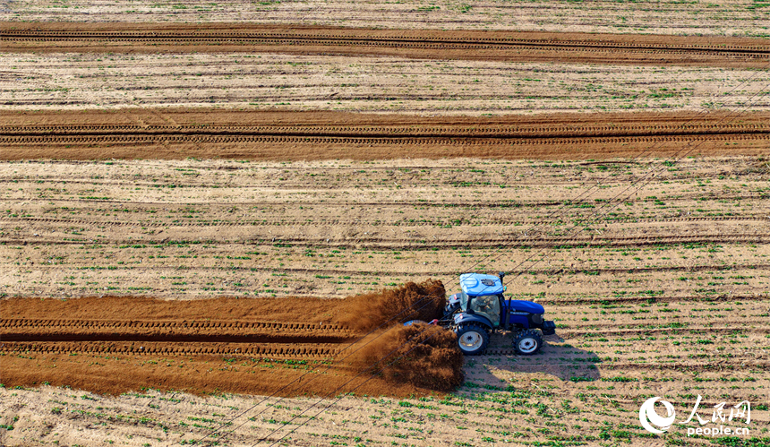 豐城市泉港鎮鵬洲村的一處蔬菜種植基地，村民駕駛犁田農機在耕整農田，為種植露天蔬菜做准備。人民網記者 朱海鵬攝