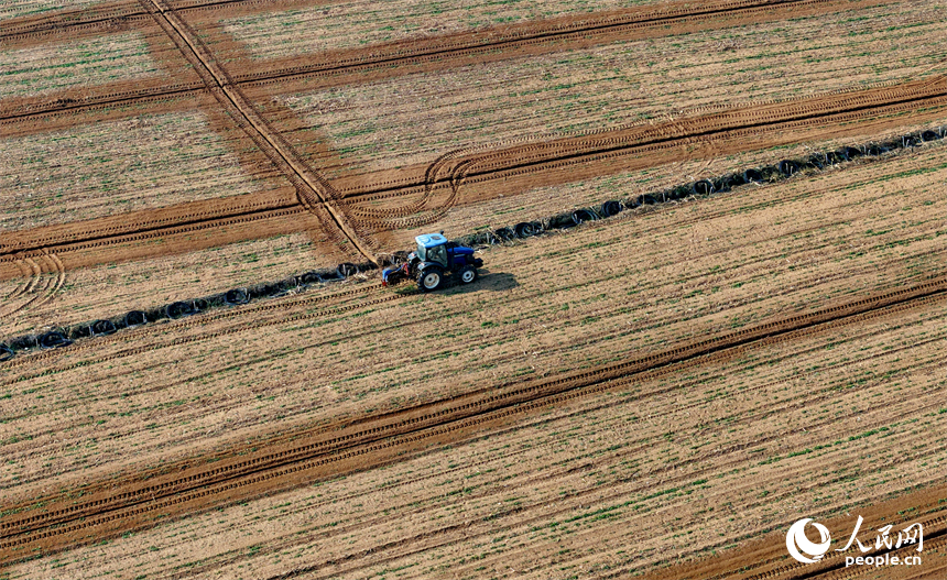 豐城市泉港鎮鵬洲村的一處蔬菜種植基地，村民駕駛犁田農機在耕整農田，為種植露天蔬菜做准備。人民網記者 朱海鵬攝