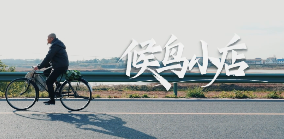 【視頻】候鳥小店