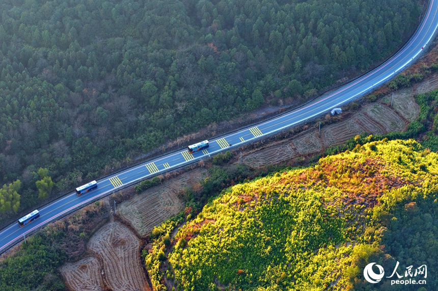 抚州市乐安县牛田镇龙虎岭村，抚吉高速公路上车辆穿村而过，沿线乡村美景怡人。人民网记者 朱海鹏摄