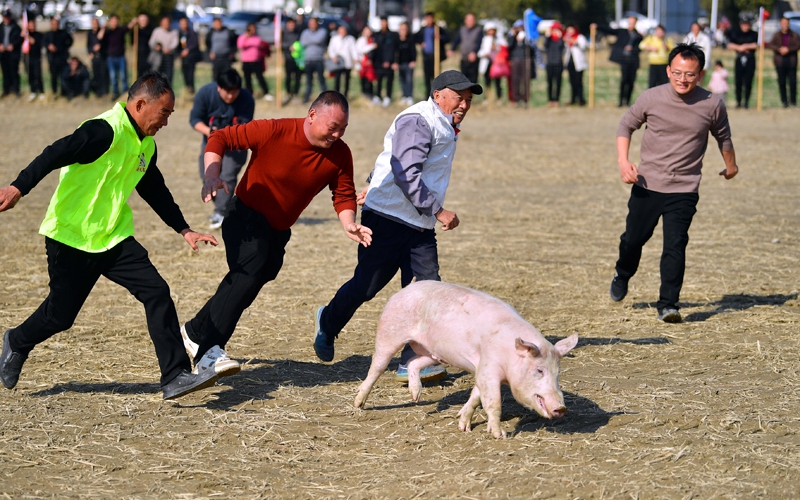 江西南昌：农闲赛场欢声动 田埂年味别样浓