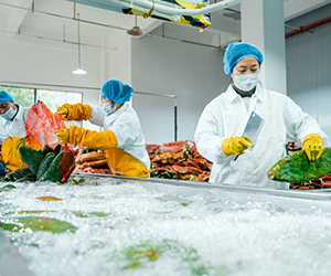 “江西南豐：仙人掌汁生產線投產”/