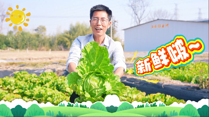 安義藏著位“蔬菜大王”