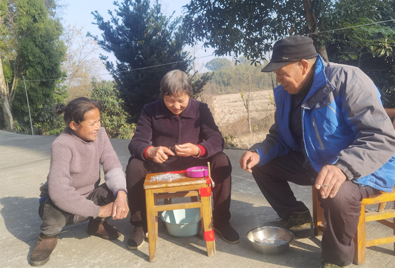 曾银华正在家门口专注地进行手工组装。王道玖摄